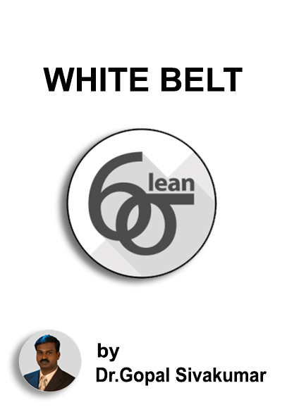 Lean Six Sigma White Belt Certification Program by Vision Excellence